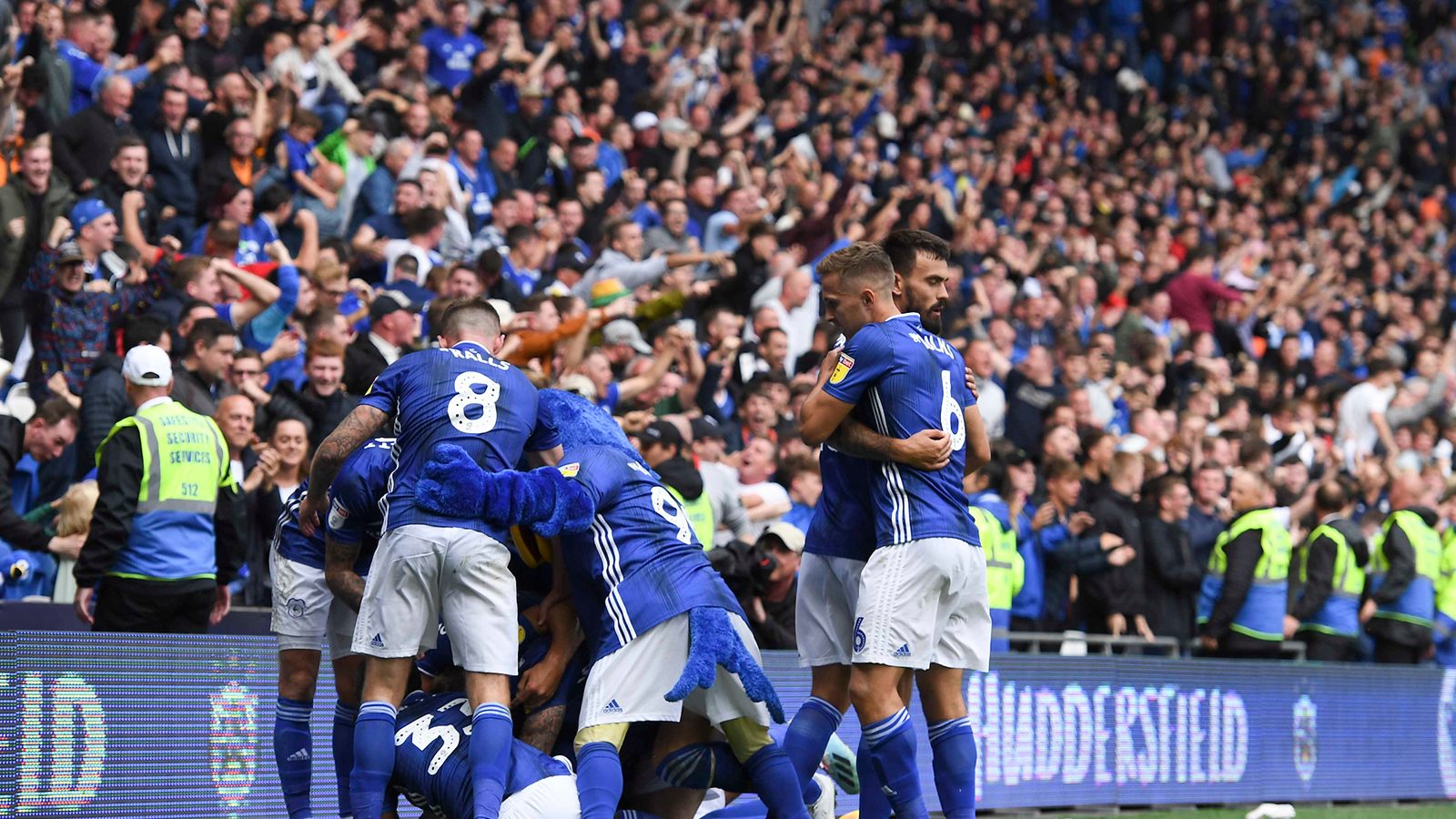cardiff-city-vs-luton-town-388.jpeg