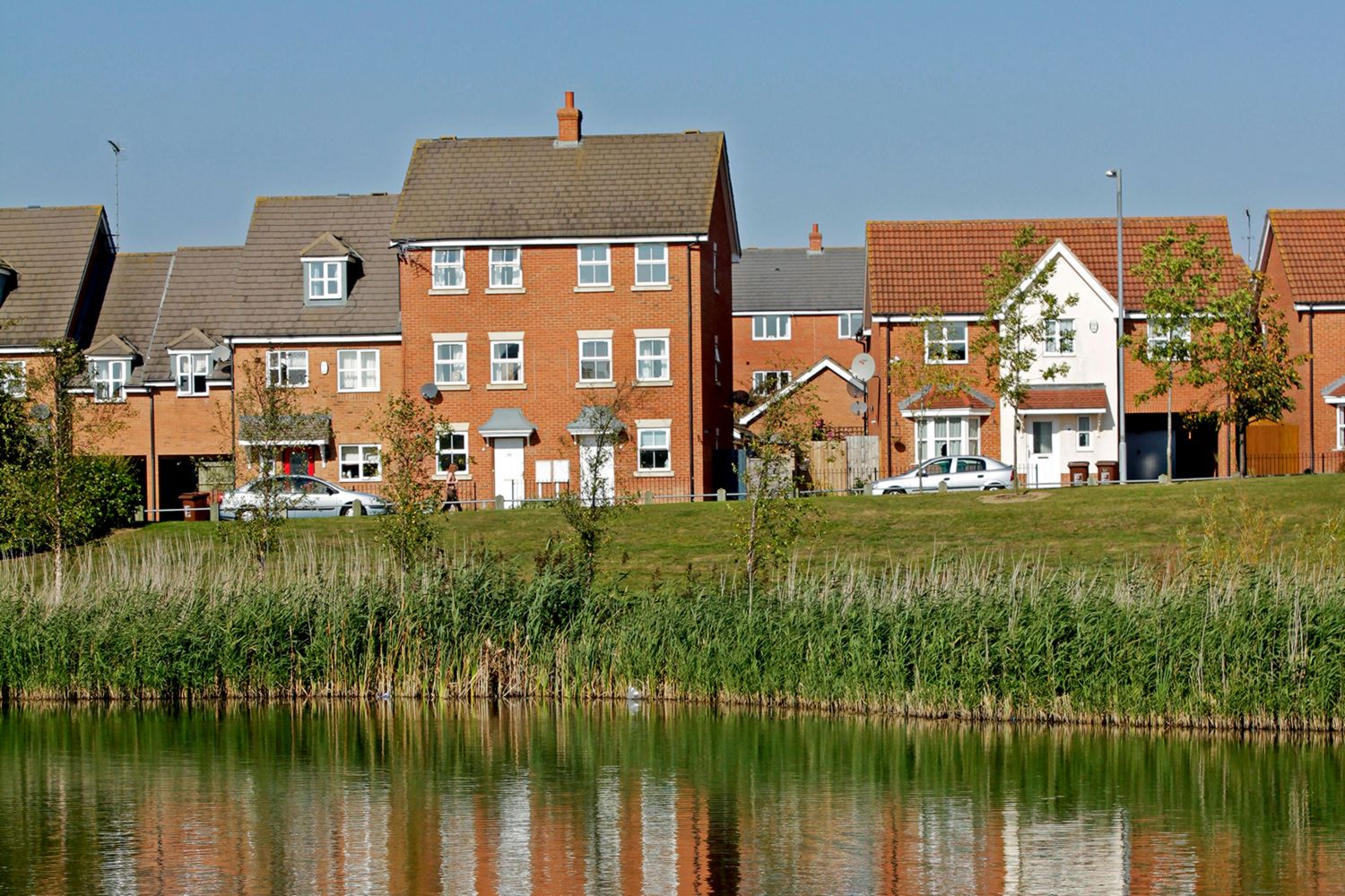 corby-246.jpeg