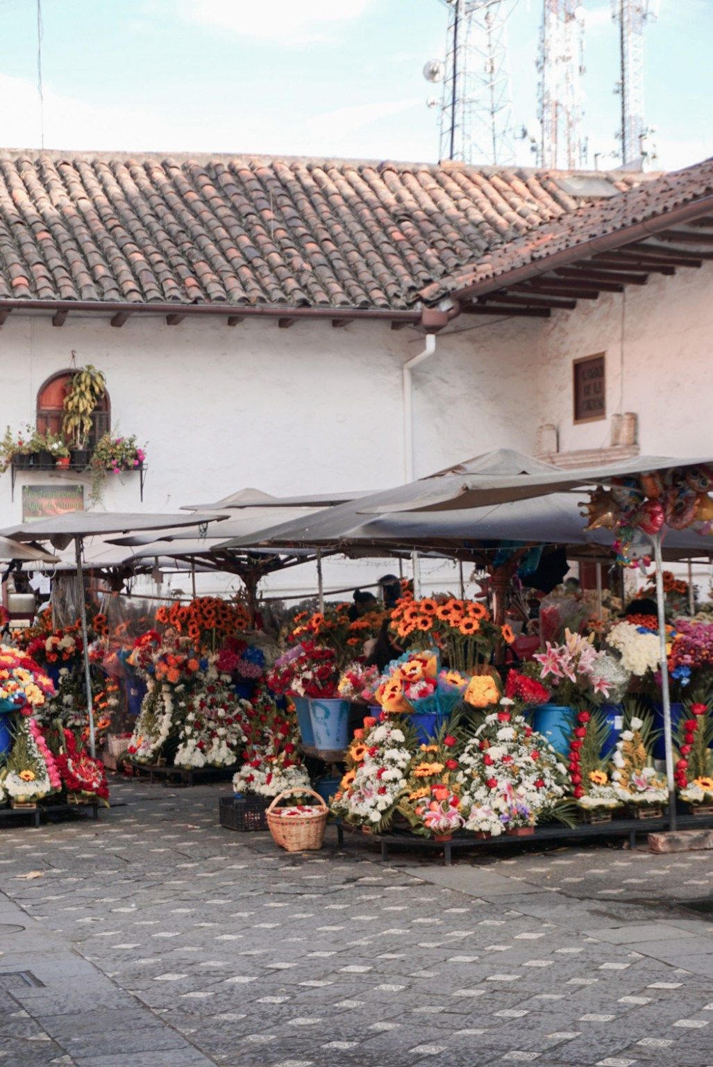 cuenca-385.jpeg