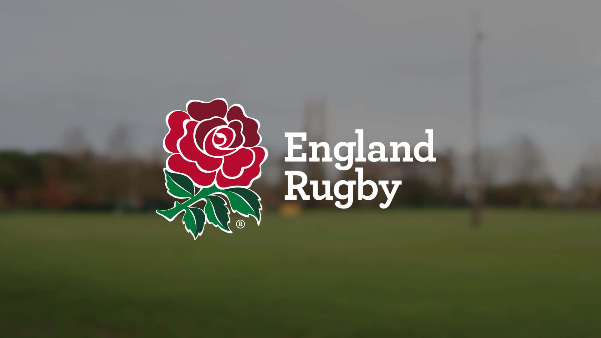 england-rugby-19.jpeg