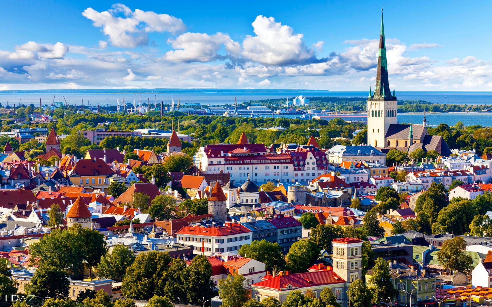 estonia-1626.jpeg
