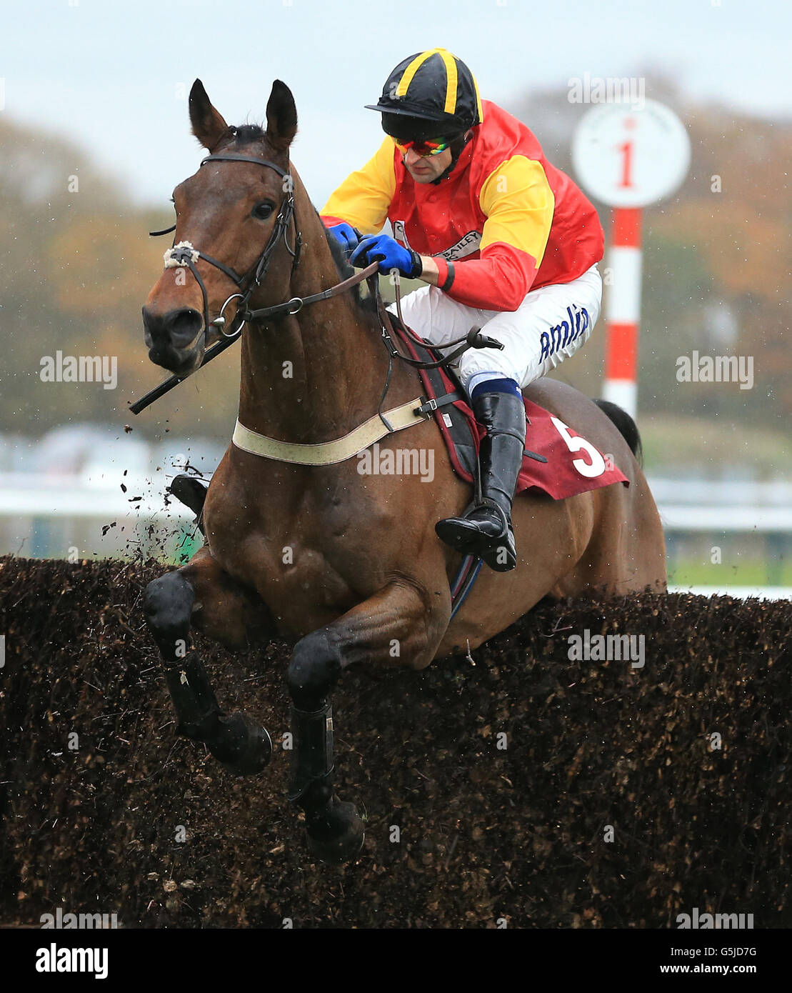 haydock-races-720.jpeg