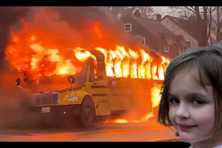 hero-bus-driver-189.jpeg