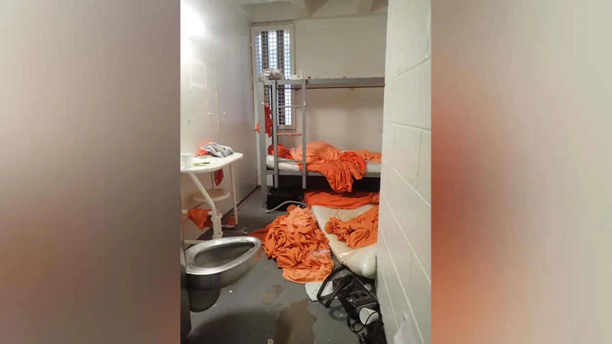is-jeffrey-epstein-dead-1590.webp