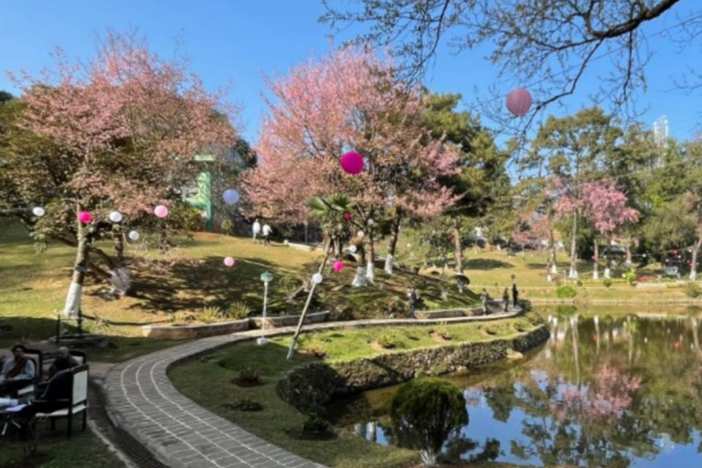 japan-cherry-blossom-festival-cancelled-609.png