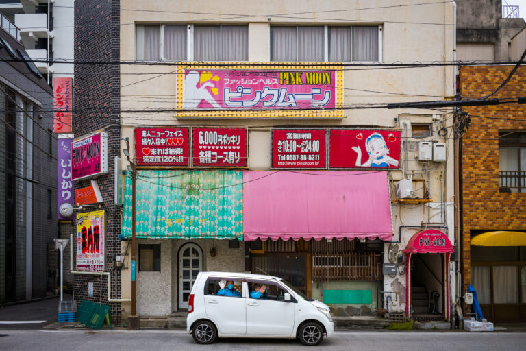 japanese-election-results-487.jpeg