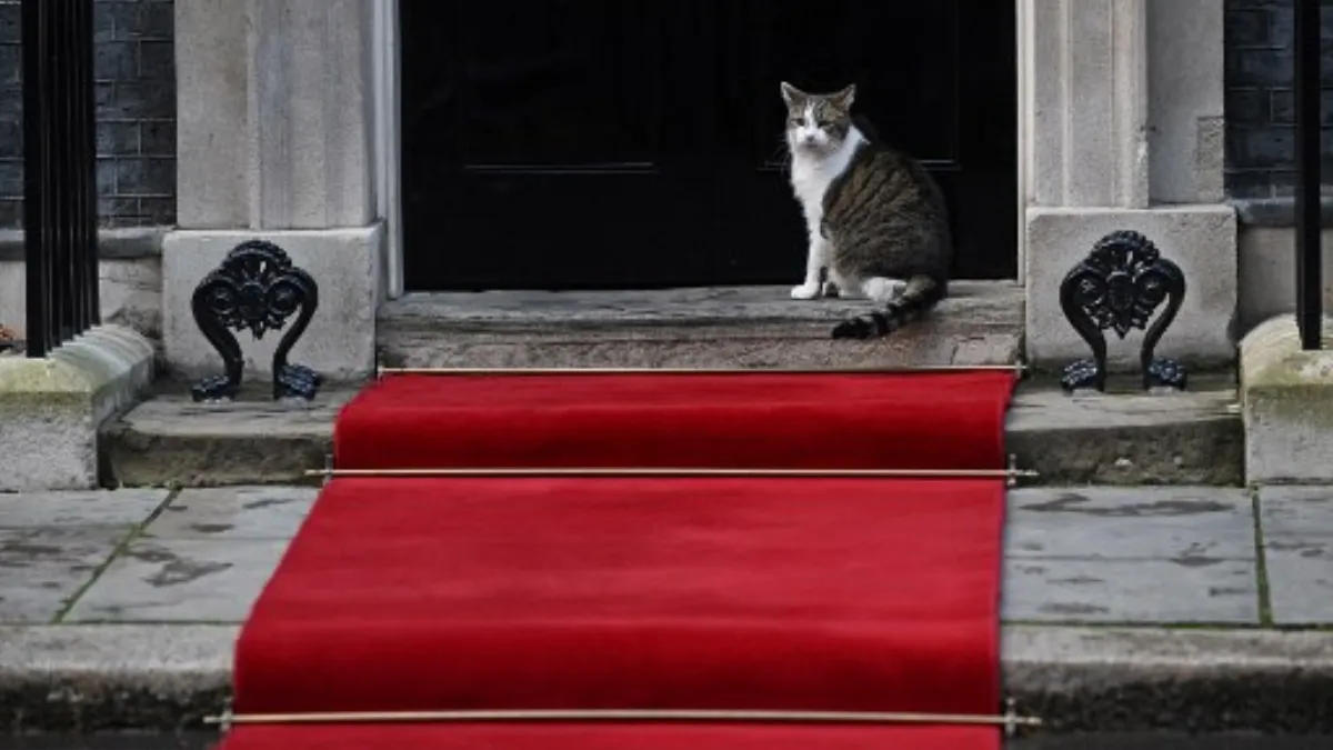 larry-the-cat-1396.webp