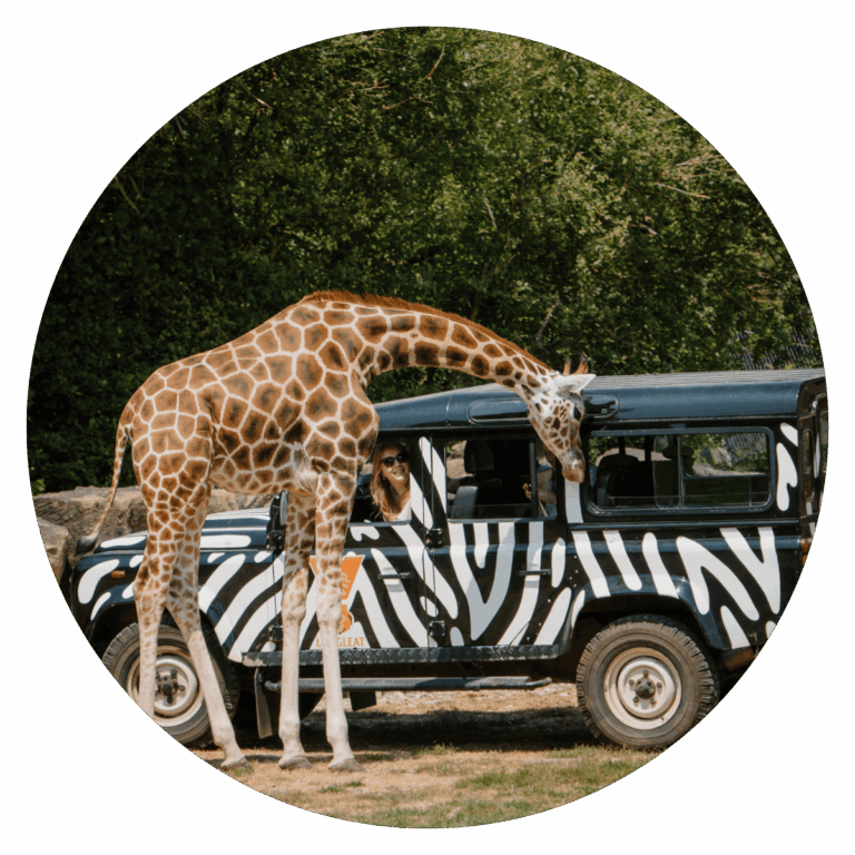 longleat-256.png