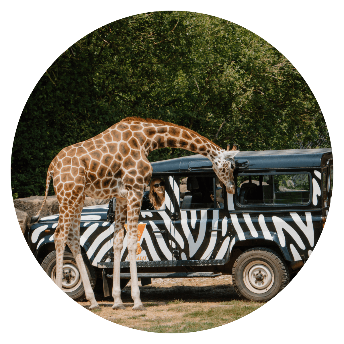longleat-256.png