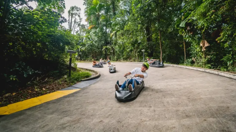 luge-1029.webp