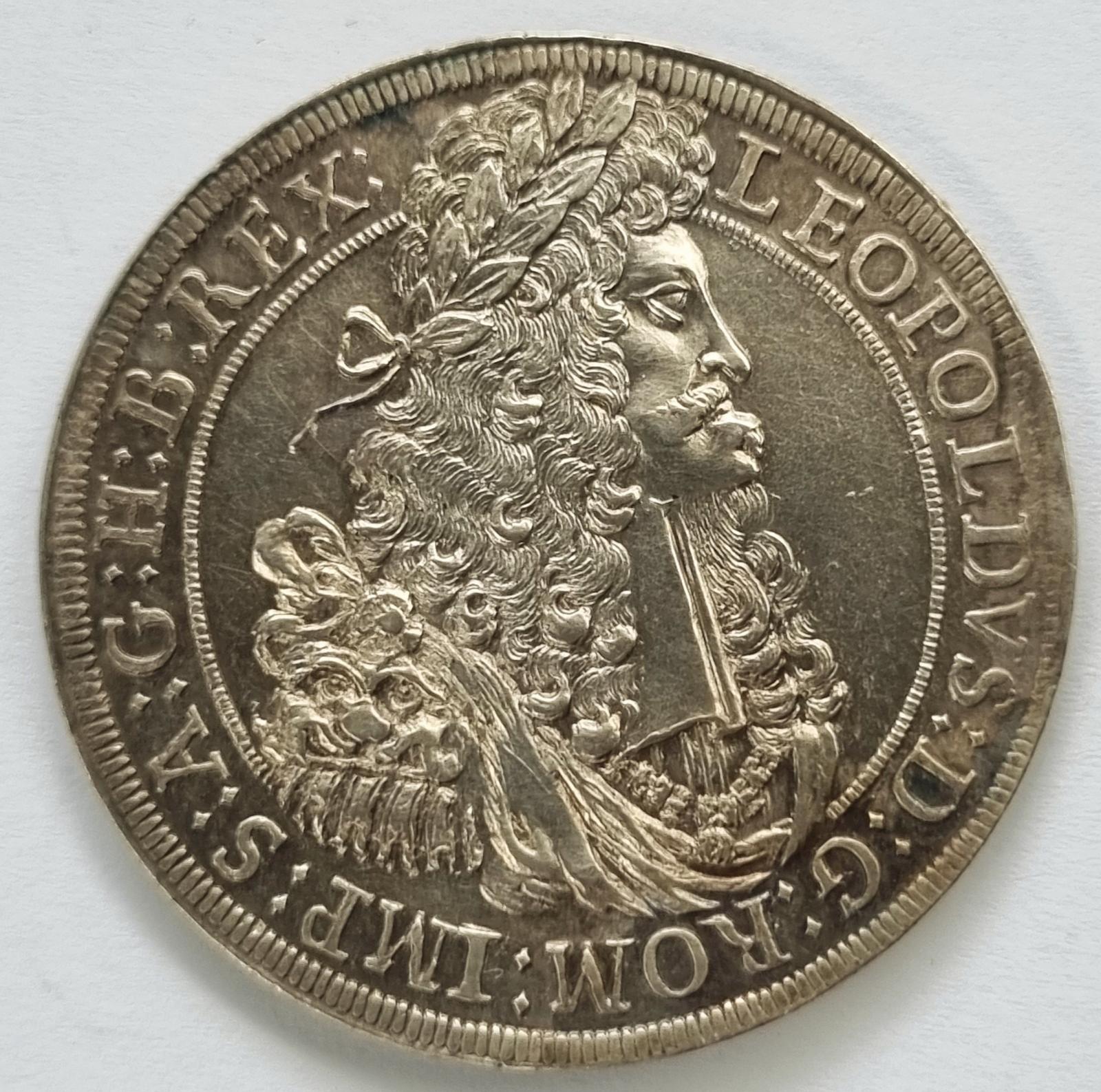 menoncello-1691.jpeg