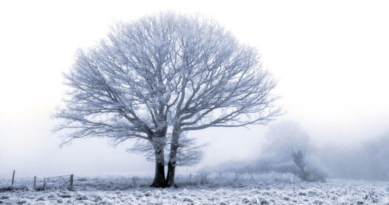 moderate-snow-ice-warning-37.jpeg