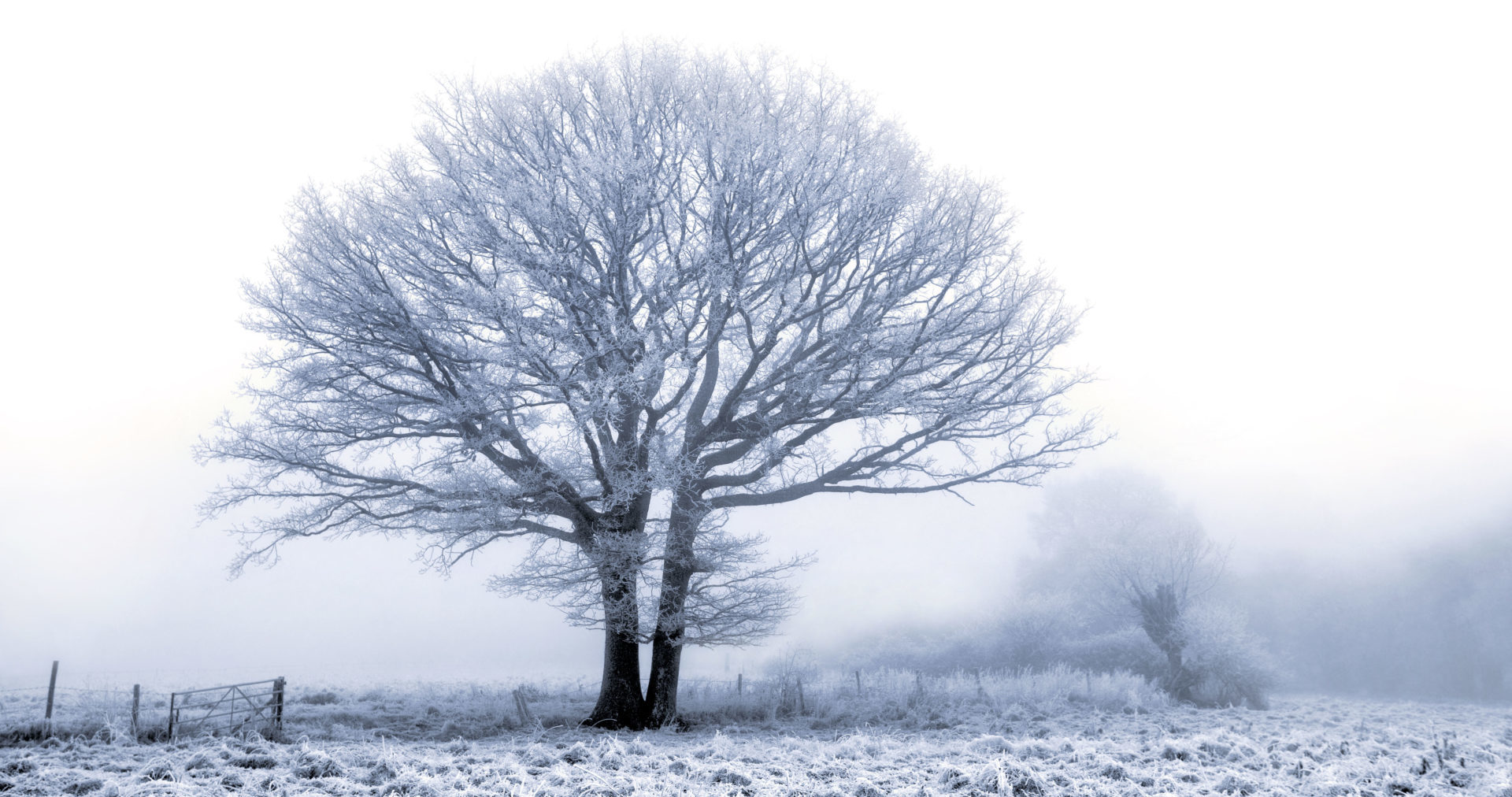 moderate-snow-ice-warning-37.jpeg