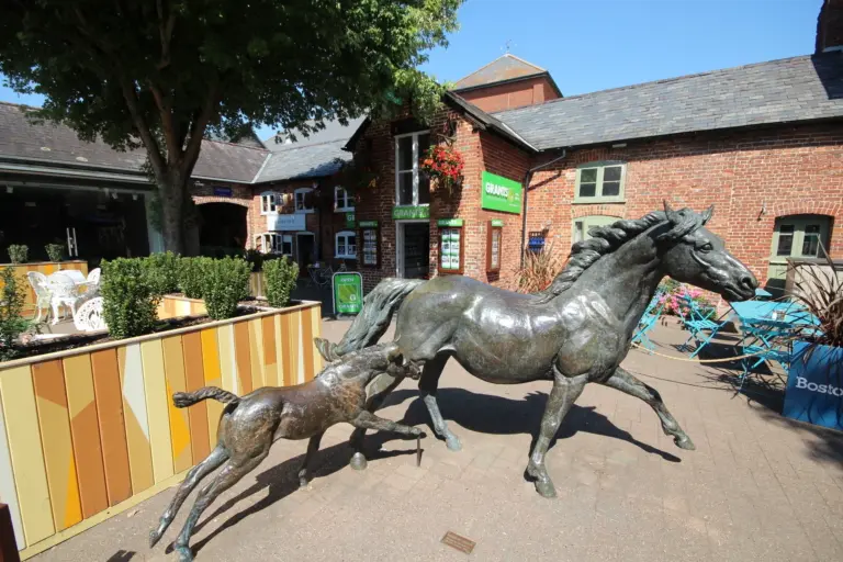 ringwood-1247.webp
