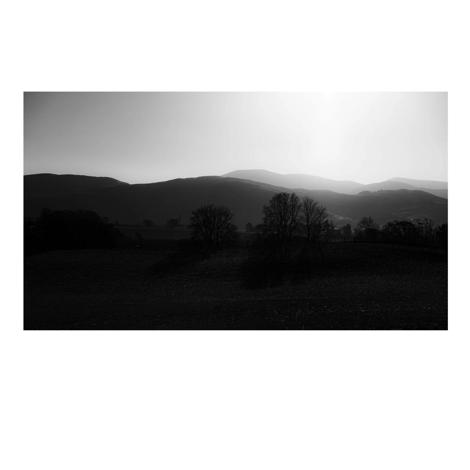 scottish-sun-1373.webp