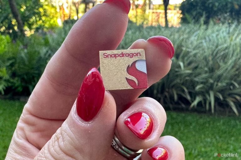 snapdragon-369.jpg
