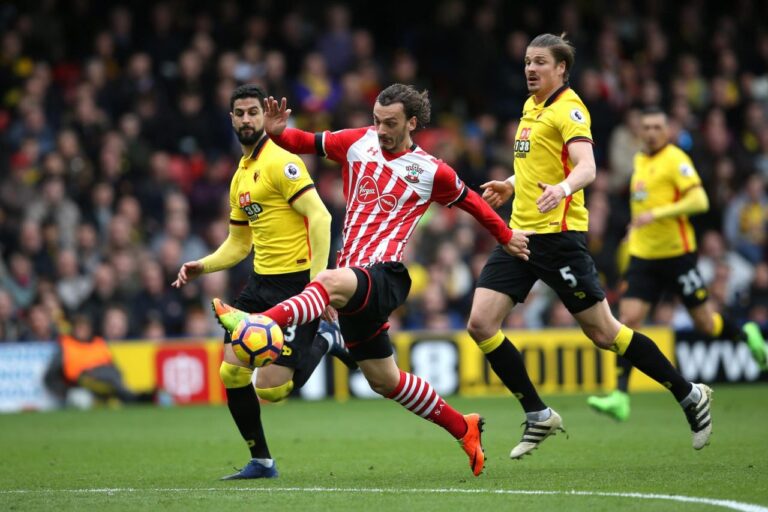 southampton-vs-watford-348.jpeg