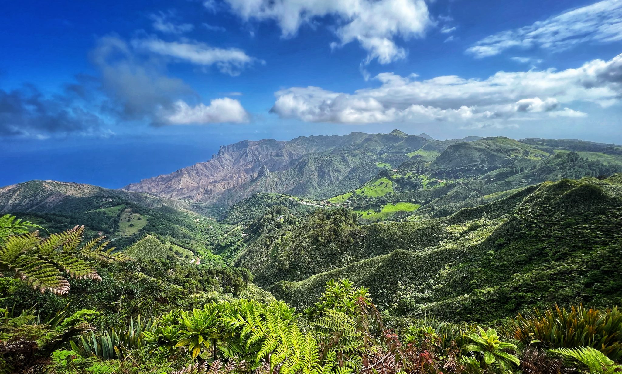 st-helena-594.jpeg