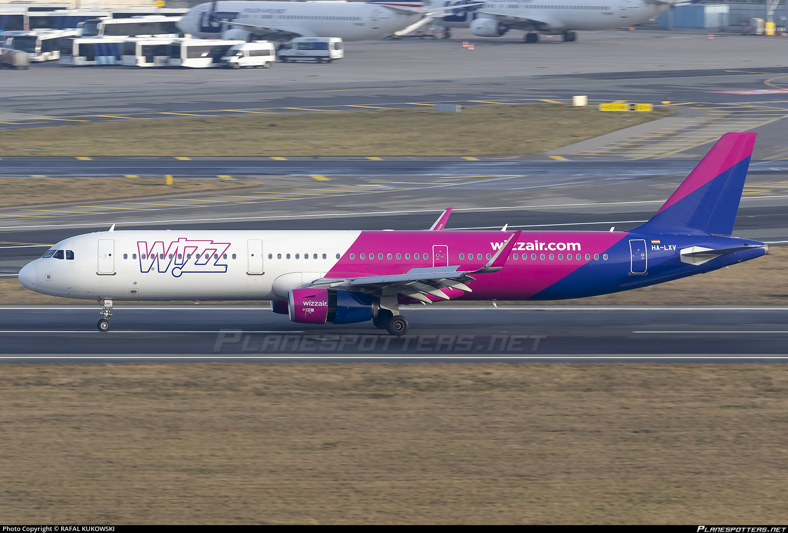 wizz-air-222.jpeg
