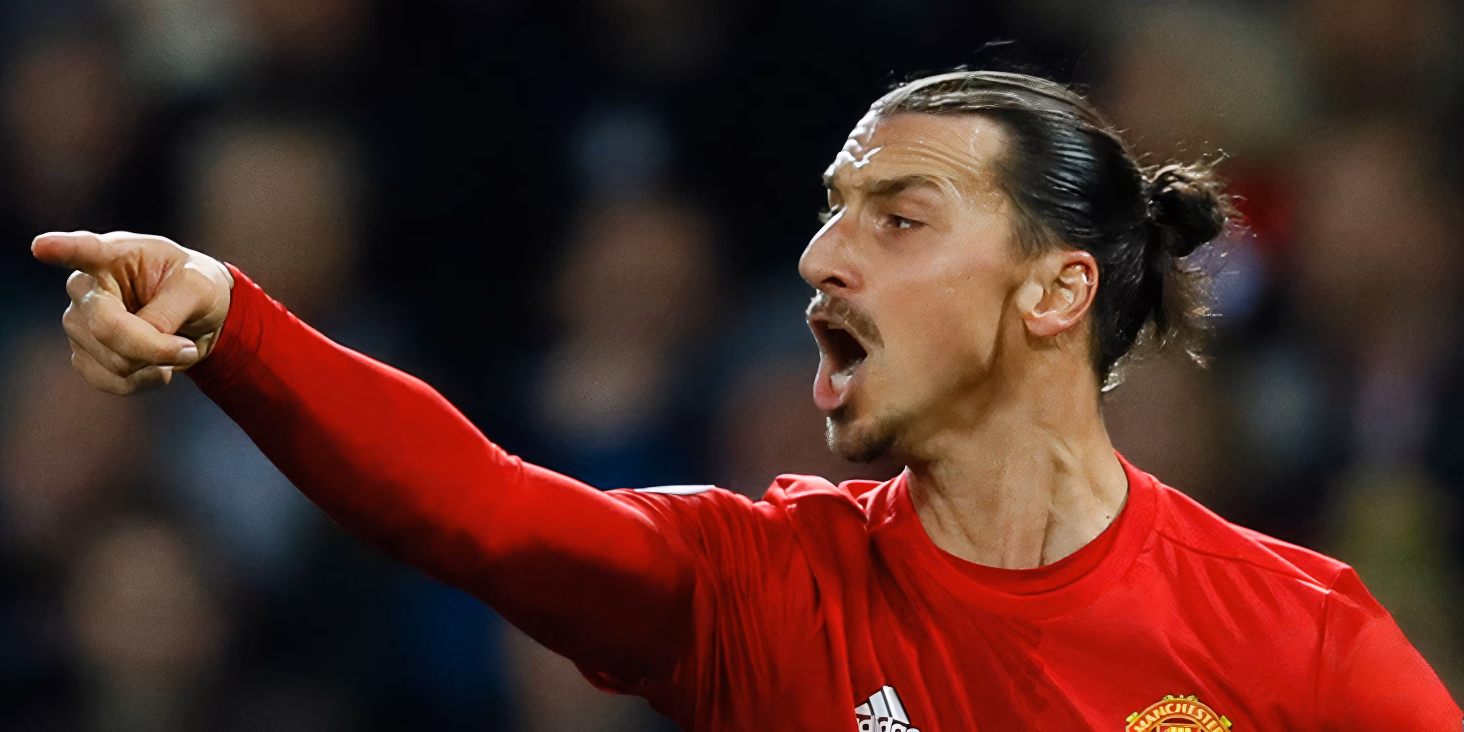 zlatan-ibrahimovic-564.jpg
