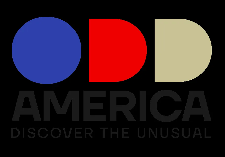 america — US news