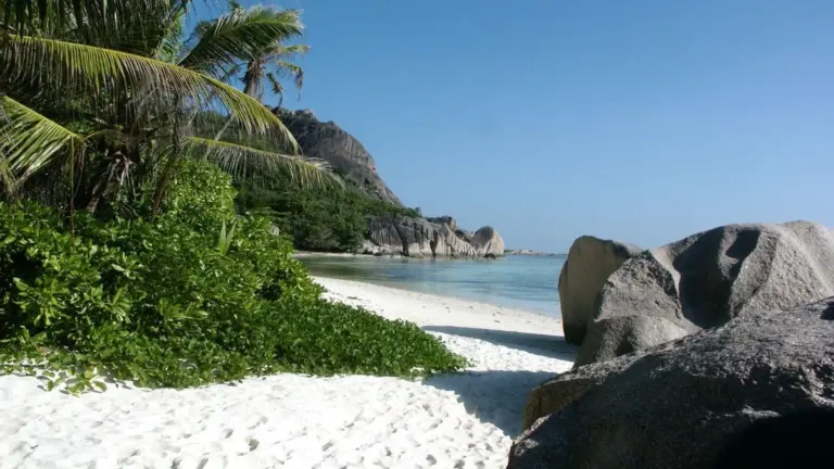 equatorial guinea — US news