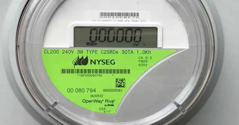 nyseg — US news
