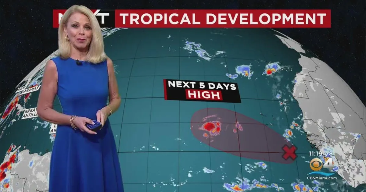 weather miami — US news