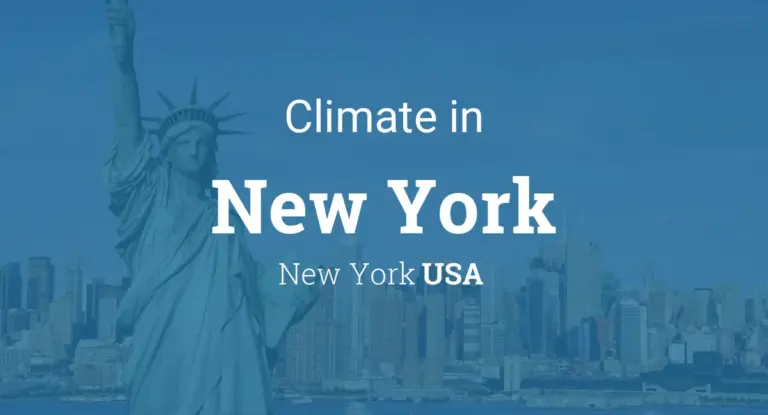 weather new york — US news