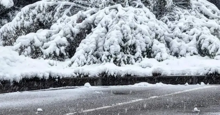 colorado snow school closures — US news
