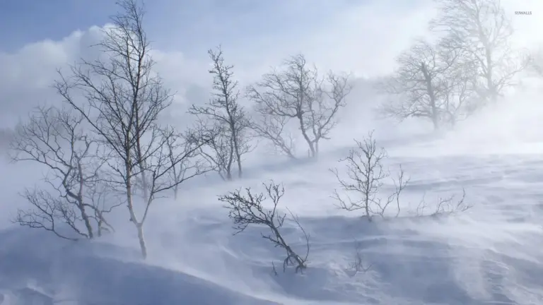 snow storm — US news