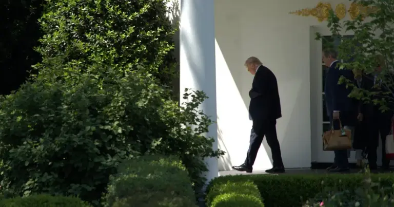 white house counsel midterms preparation — US news